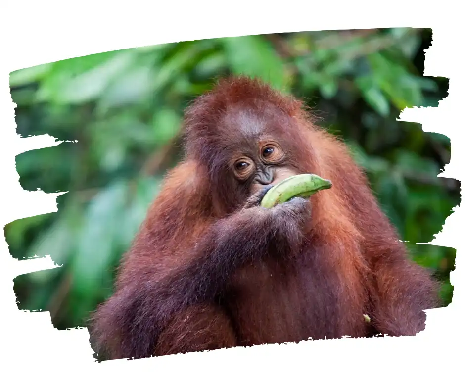 Untitled (624 x 417 px) (940 x 788 px) (4)